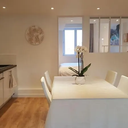 Duplex Plein Centre, Zone Pietonne, 2 Apartament