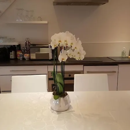 Duplex Plein Centre, Zone Pietonne, 2 Apartament