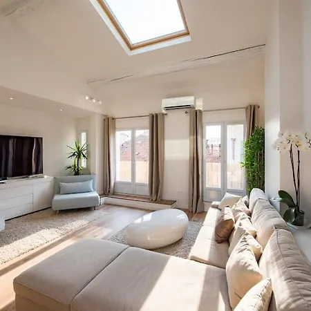 Duplex Plein Centre, Zone Pietonne, 2 Apartament Cannes