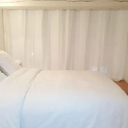 Duplex Plein Centre, Zone Pietonne, 2 Apartament Cannes
