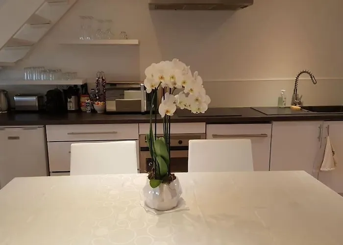 Duplex Plein Centre, Zone Pietonne, 2 Lägenhet